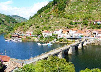 Concello do Saviñao